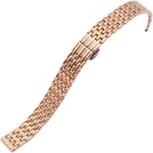 14 16 18 20 22mm Stainless Steel Strap Men's Watch Accessories Steel Strap Women's Double Button Butterfly Buckle