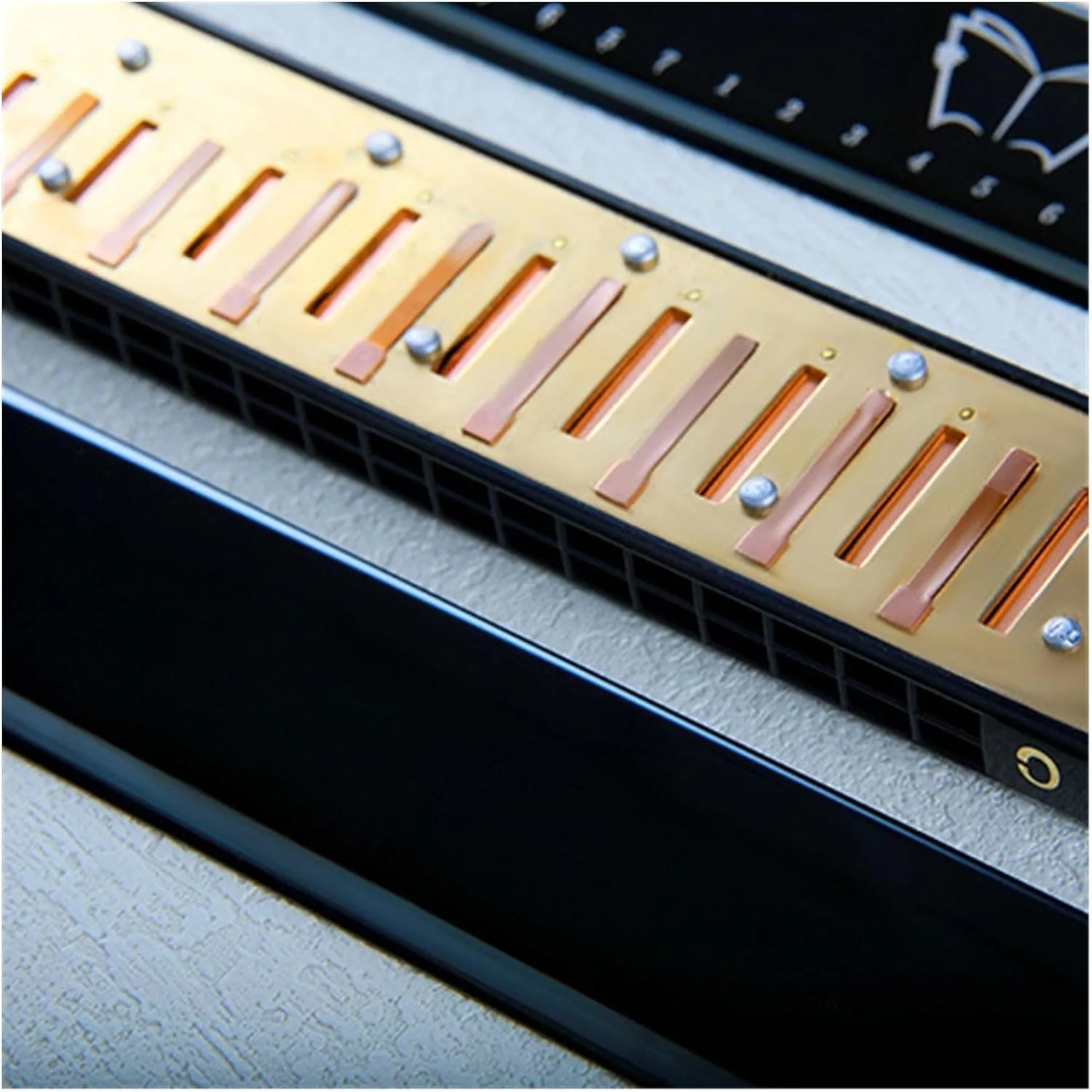 24 hole C key polyphonic harmonica for beginners to learn musical instruments(Gold)