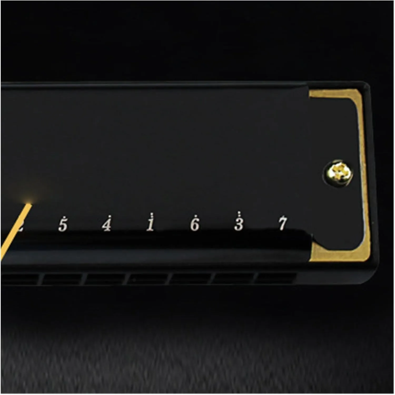 24 hole C key polyphonic harmonica for beginners to learn musical instruments(Gold)