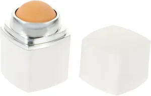 3pcs Oil Absorbing Volcanic Roller Face Skin Oil Control Tool Portable Facial