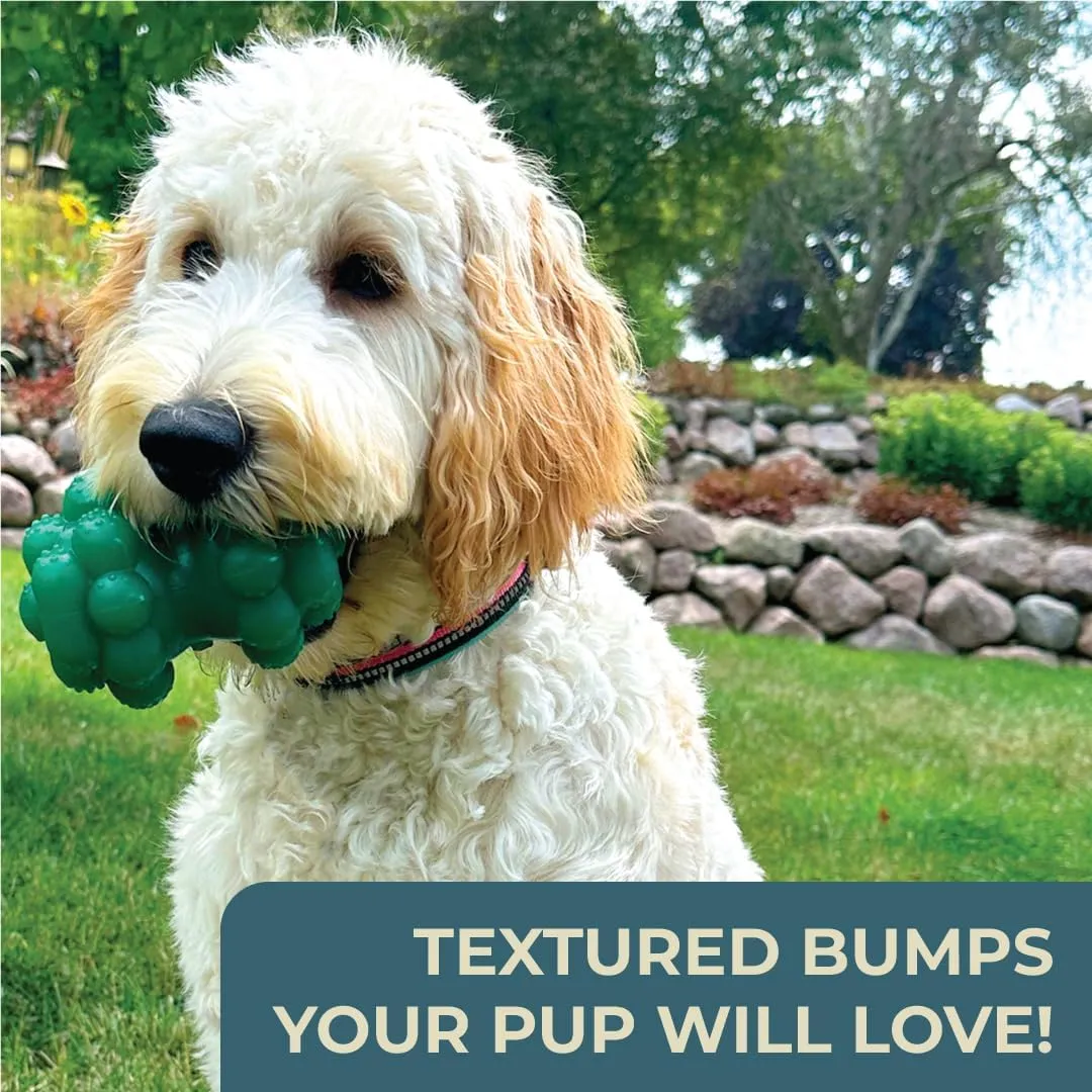 Alpha - Biter - Indestructible Bumpy Rubber Dog Enrichment Toy Made for Aggressive Chewers - Choose Your Color - 5" L × 3.5" W × 3" H (Blue)