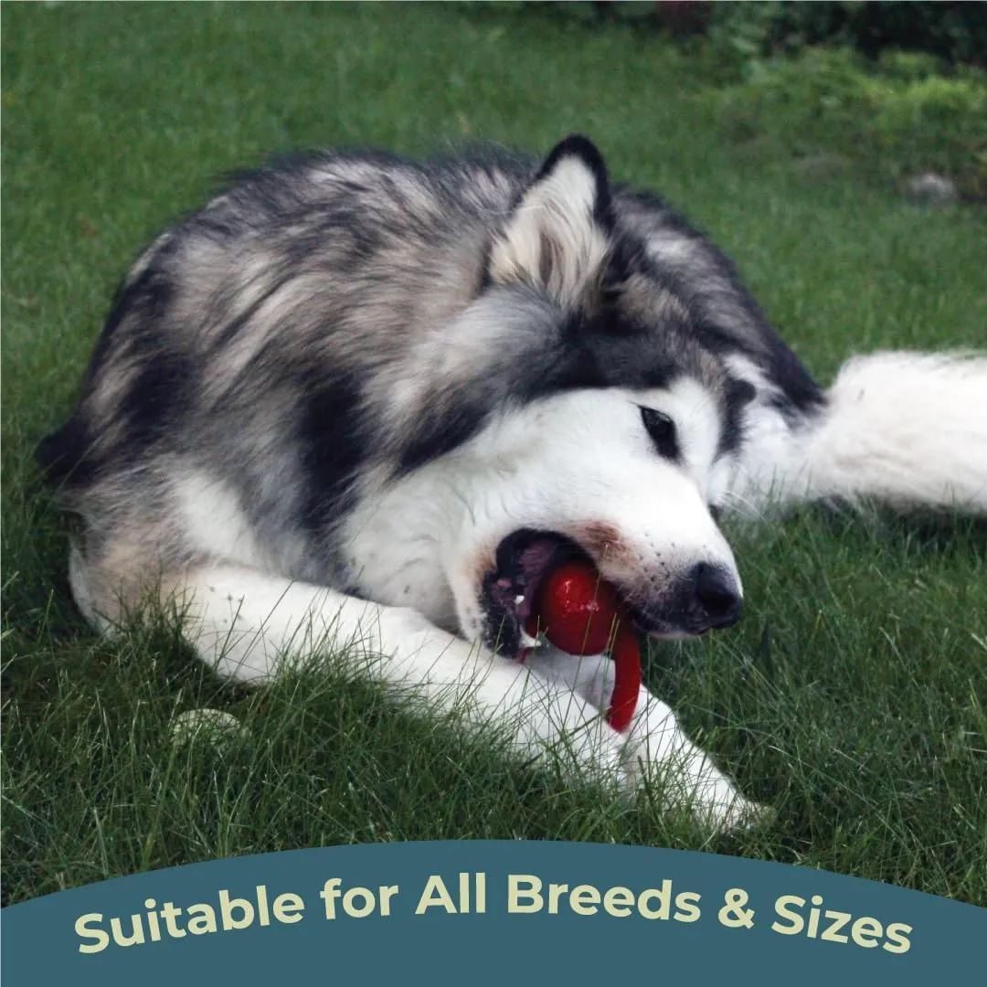 Alpha - Chew - Tough Tug-of-War Pet-Safe Rubber Dog Toy - Choose Your Color - 6" L × 2.5" W × 3.5" H (Red)