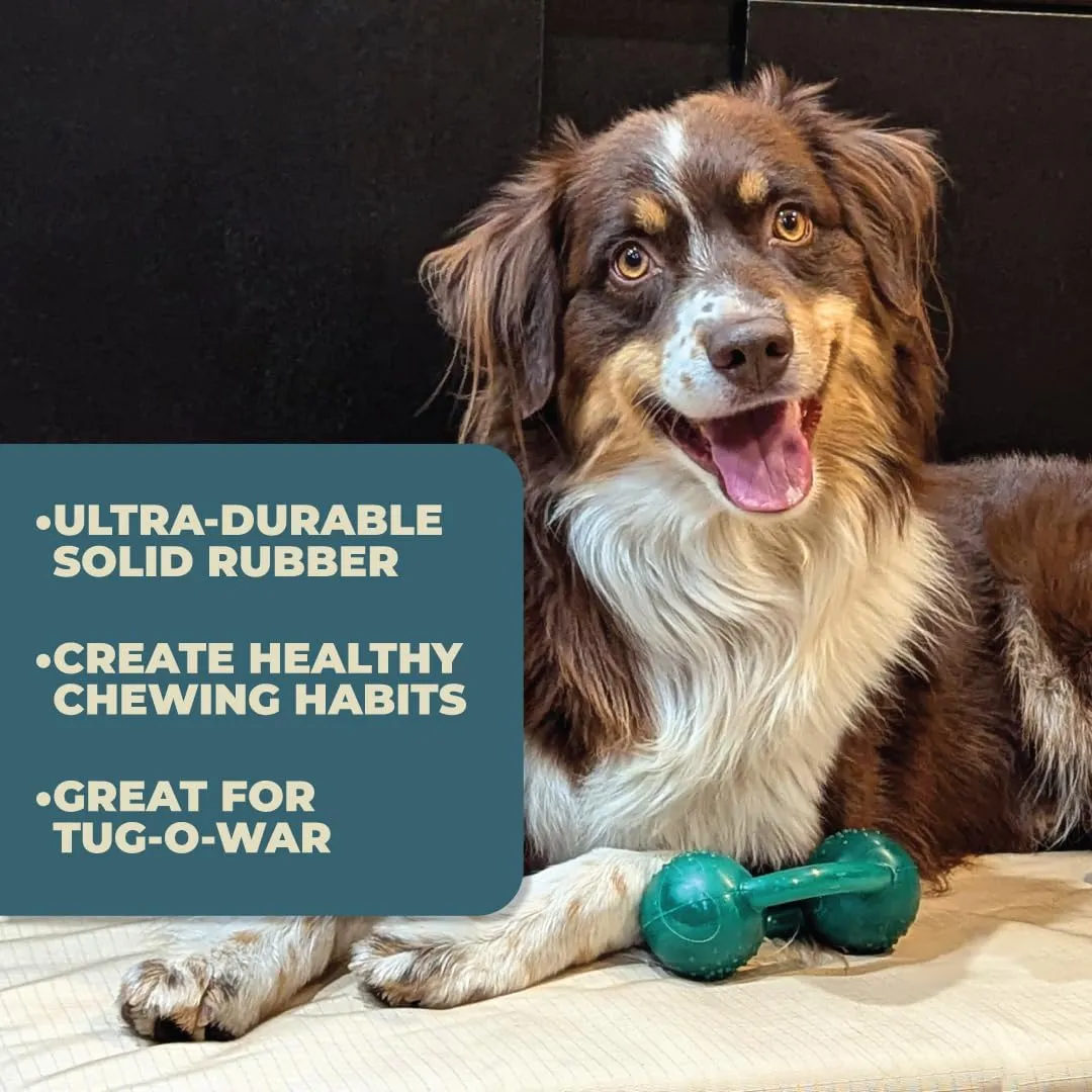 Alpha - Chew - Tough Tug-of-War Pet-Safe Rubber Dog Toy - Choose Your Color - 6" L × 2.5" W × 3.5" H (Red)
