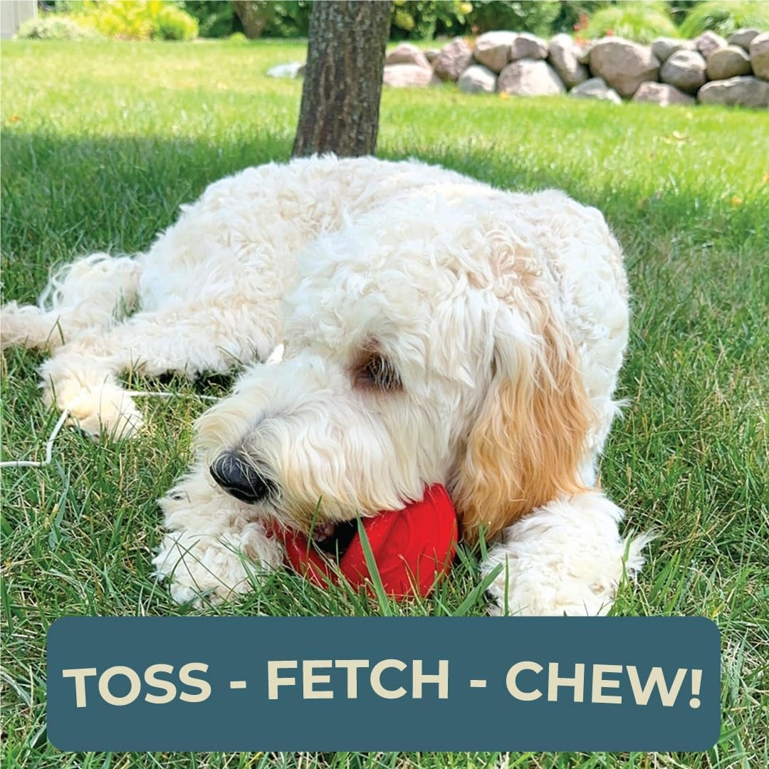 Alpha - Pacifier - Durable Long-Lasting Rubber Dog Fetch Chew Toy for Training - Choose Your Color - 6" L × 3" W × 4" H (Blue)