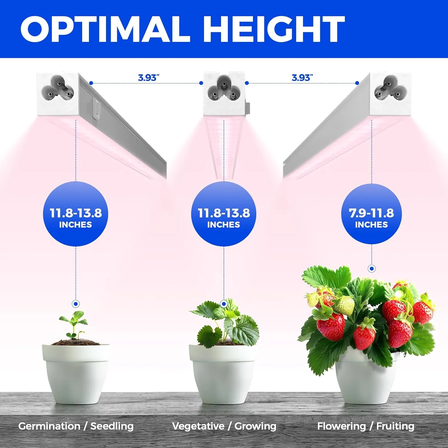 Barrina Grow Lights for Indoor Plants, Full Spectrum Sunlight, 1ft Plant Light for Indoor Growing, LED Grow Light Bulbs, T5 Grow Light Strip, Plug and Play, Pinkish White, 8-Pack