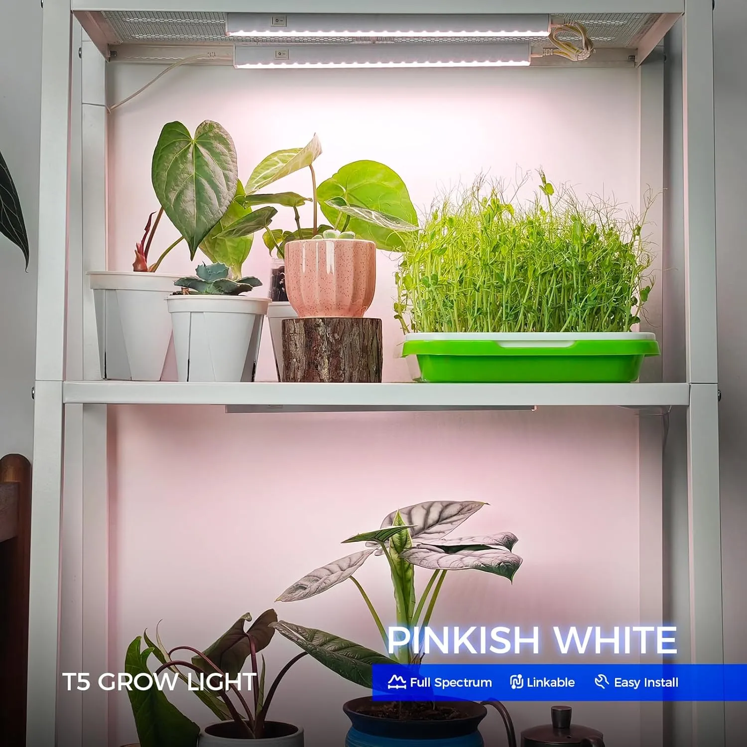 Barrina Grow Lights for Indoor Plants, Full Spectrum Sunlight, 1ft Plant Light for Indoor Growing, LED Grow Light Bulbs, T5 Grow Light Strip, Plug and Play, Pinkish White, 8-Pack
