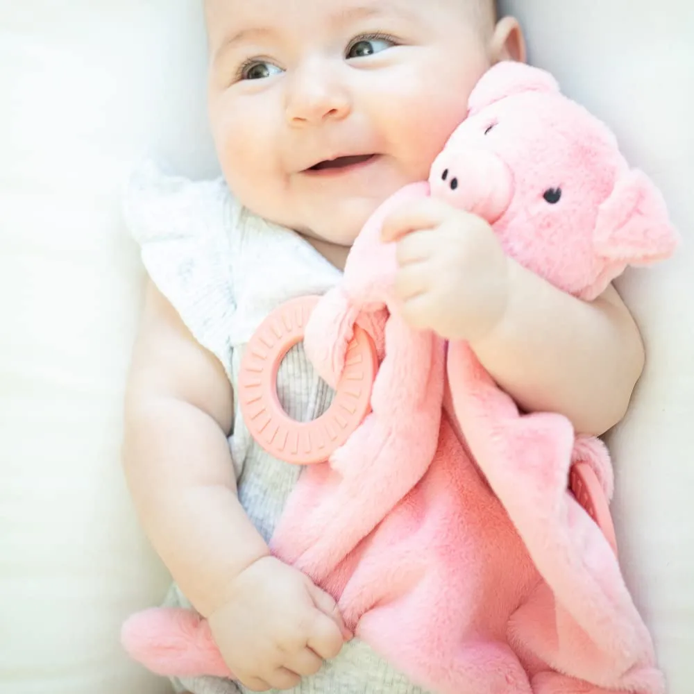 Bella Tunno Teether Buddy – Soft, Plush Baby Lovey with Textured Baby Teether Toy and Gentle Rattling Head, Comforts and Brings Teething Relief, Colorful Animal-Themed Baby Teething Toys (Pig)