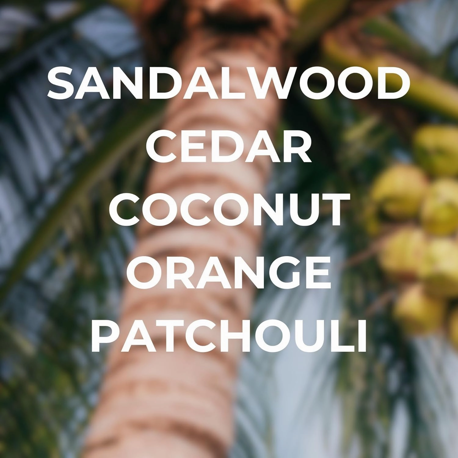 Car Air Freshener - Surf Shack - Coconut, Sandalwood, Cedar Scent - Premium Car Hanging Air Freshener, Long-Lasting Fragrance for Auto and Home, 2 Bottles, Clear