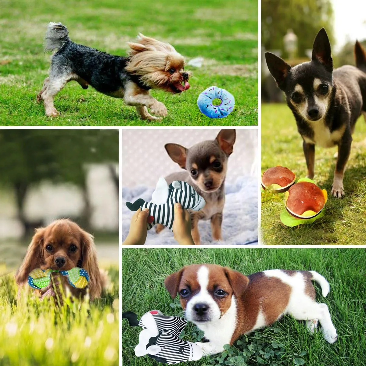 Dog/Puppy Teething Toys, Assorted Chew Toys, 6 ct