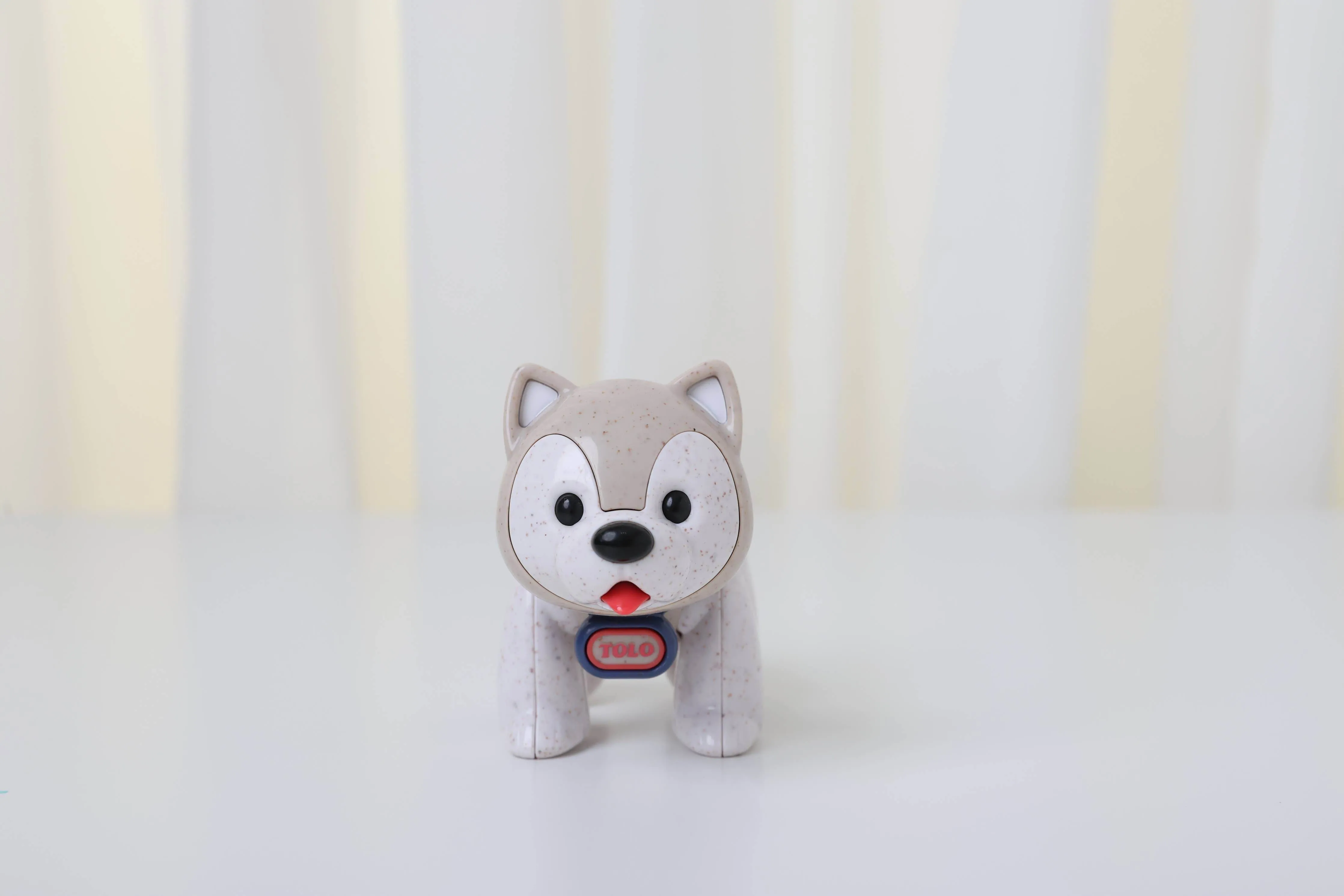 First Friends Husky