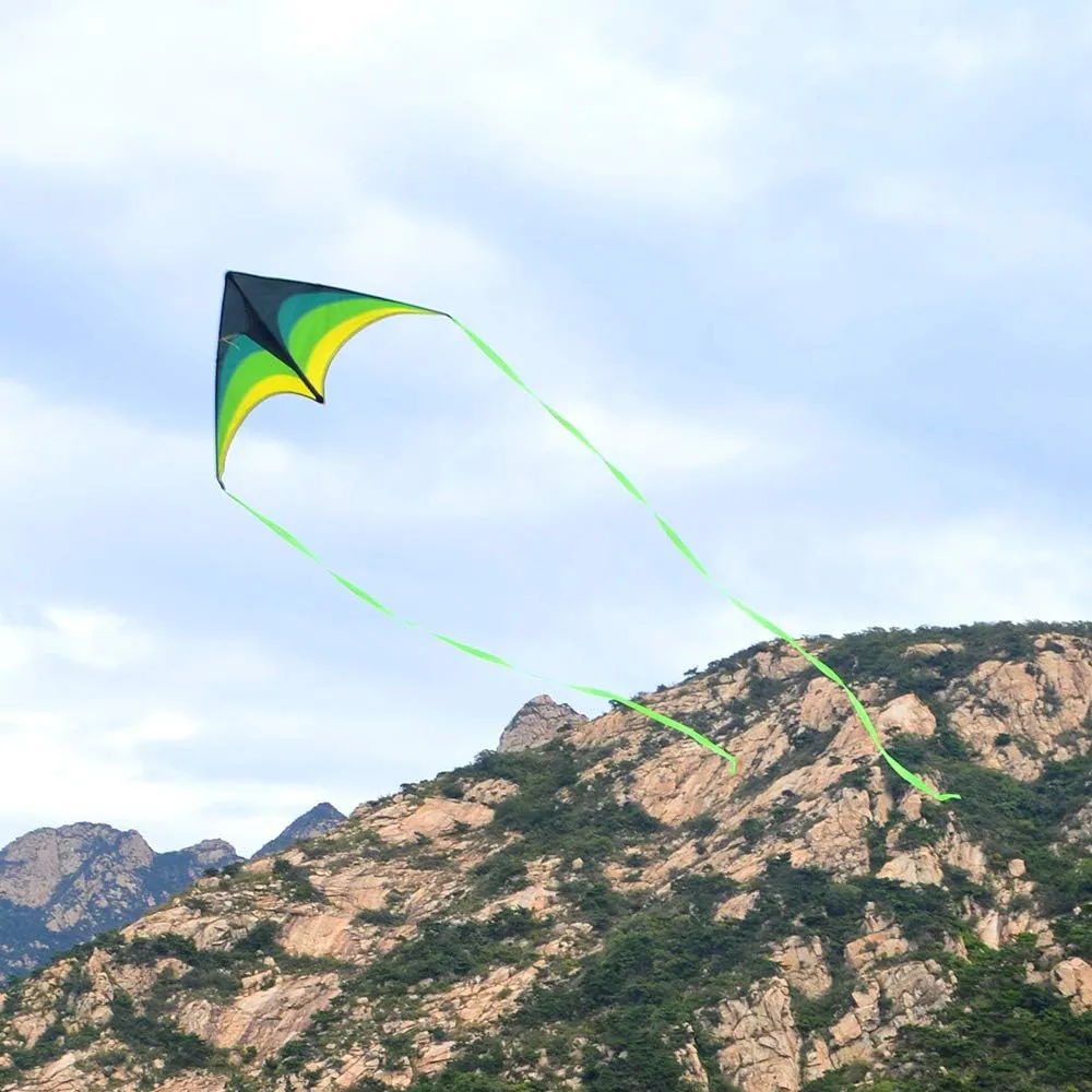Mint's Colorful Life Delta Kite for Kids & Adults, Extremely Easy to Fly Kite, Best Kites for Beginner