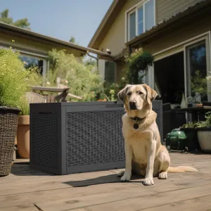 Outdoor Deck Box Waterproof Resin Storage Box with Lockable Indoor Outdoor Storage Bin for Patio Cushions,Patio Furniture, Gardening Tools,Pool Accessories (Black, 100 Gal)