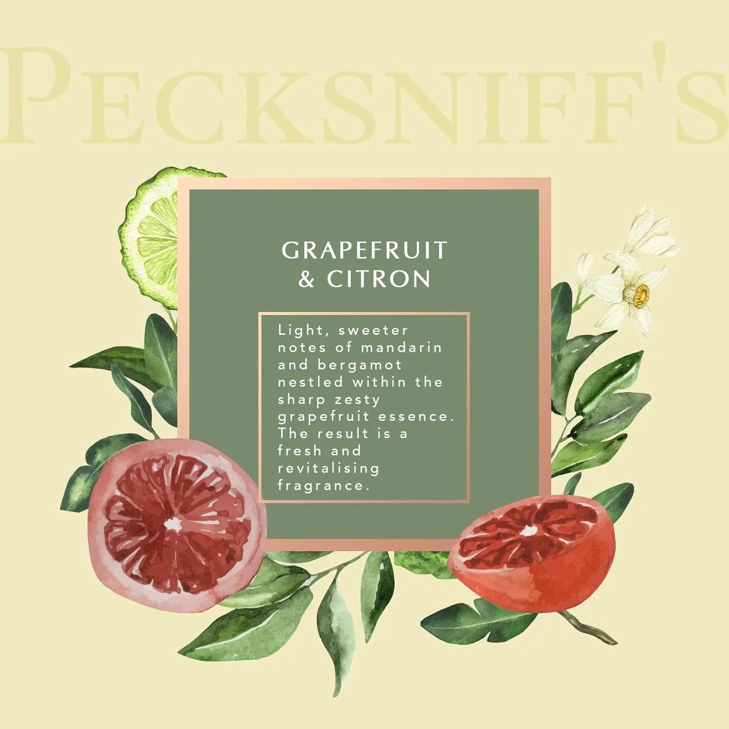 Pecksniff's Classic Reed Diffuser Set | Grapefruit & Citron Scent, Fresh and Zesty Fragrance Reed Diffusers for Home Office Decor | 200ml/ 6.7 fl oz