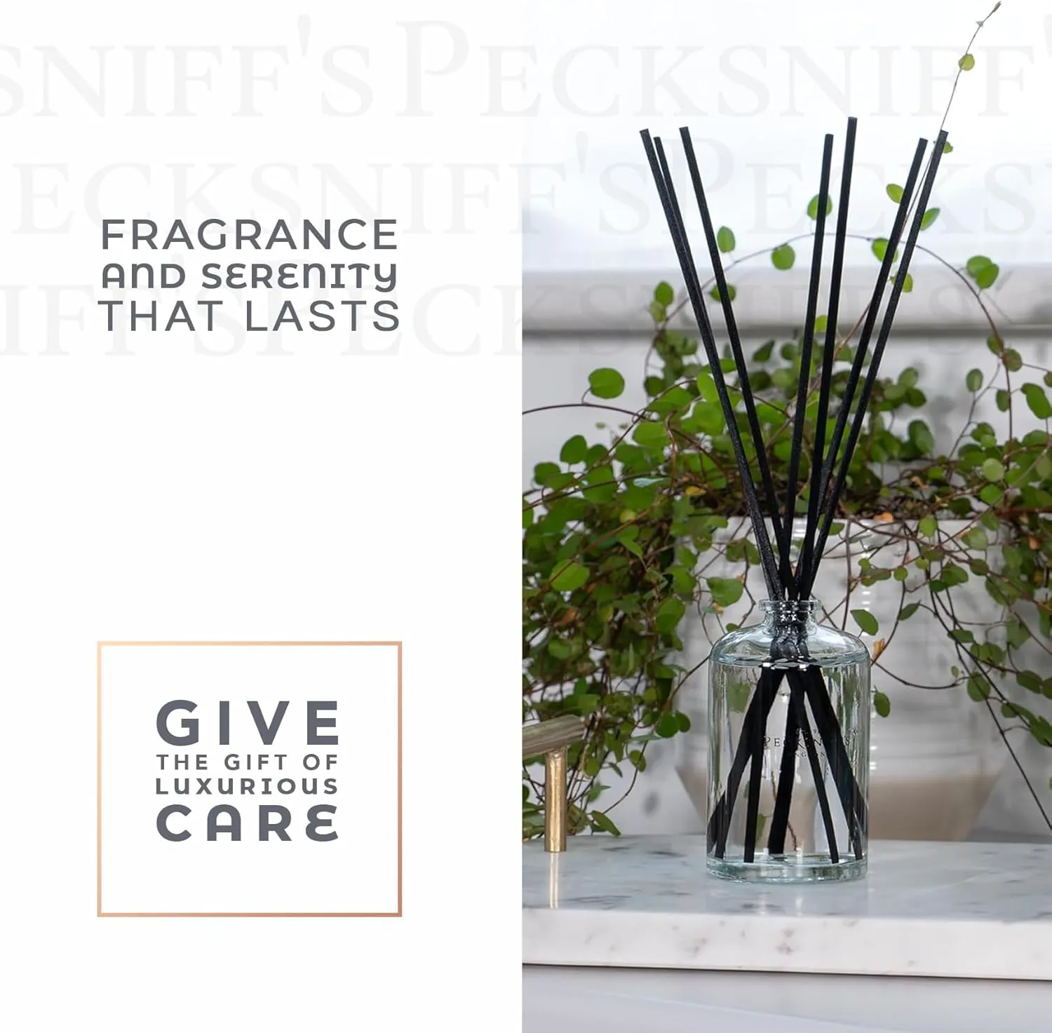 Pecksniff's Classic Reed Diffuser Set | Grapefruit & Citron Scent, Fresh and Zesty Fragrance Reed Diffusers for Home Office Decor | 200ml/ 6.7 fl oz
