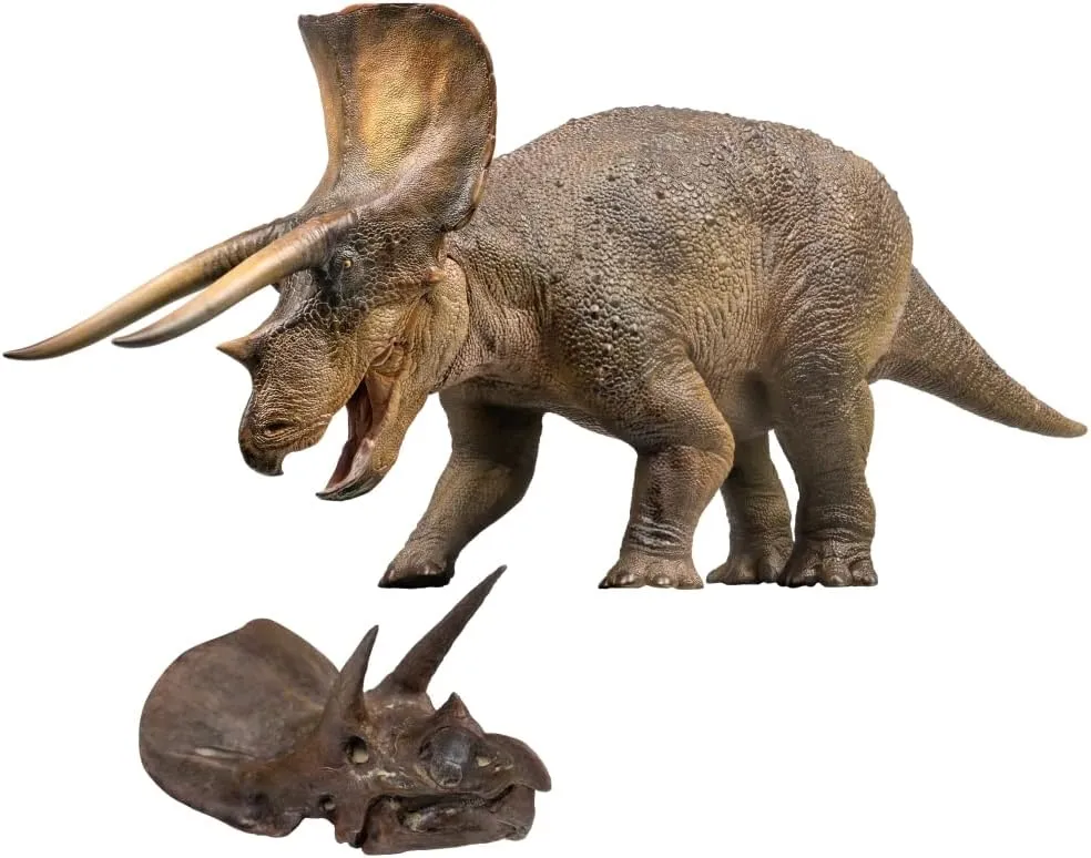 PNSO Dinosaur Museums Series (New Doyle The Triceratops 1:35 Scientific Art Model)