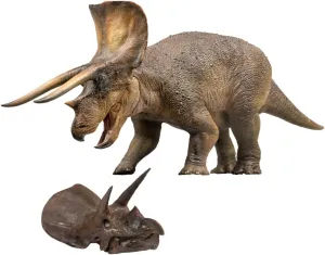 PNSO Dinosaur Museums Series (New Doyle The Triceratops 1:35 Scientific Art Model)