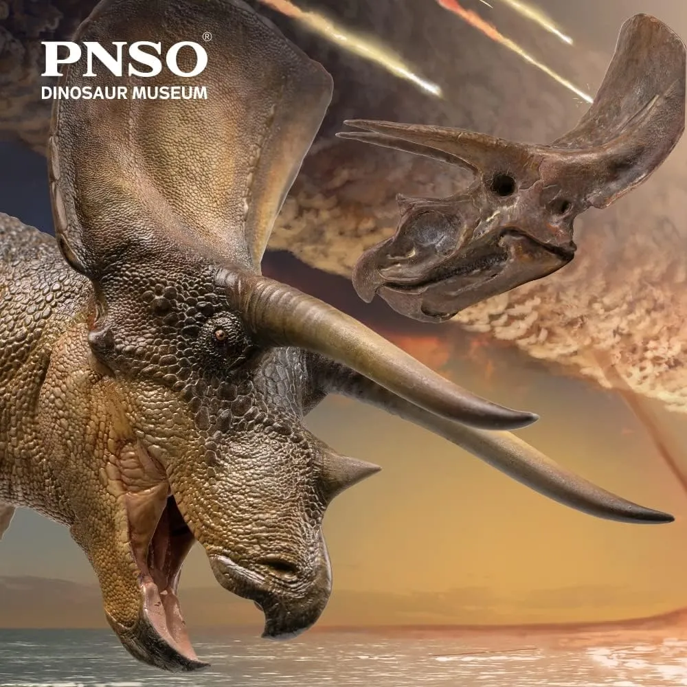 PNSO Dinosaur Museums Series (New Doyle The Triceratops 1:35 Scientific Art Model)