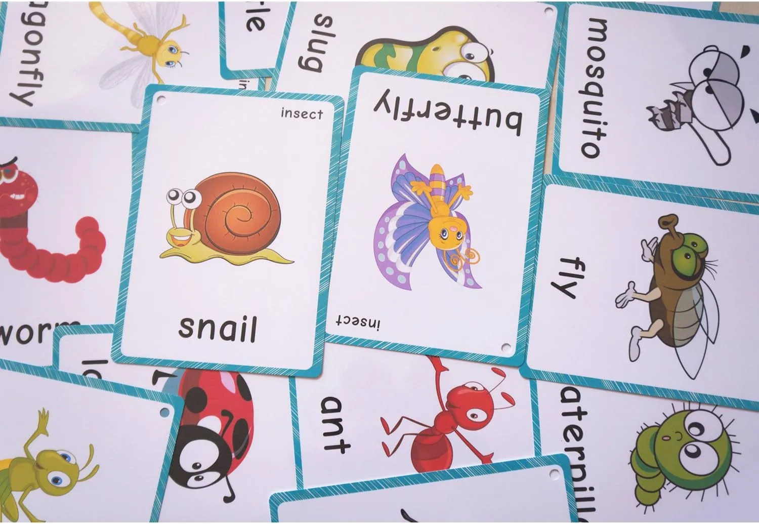 Set of(Body Parts Insects) Flash Cards for Toddlers | Kids Learning Montessori Pocket Cards Toys | Perfect for Pre-K Decorations Background Wall Stickers,Teacher/Autism Therapists Tools