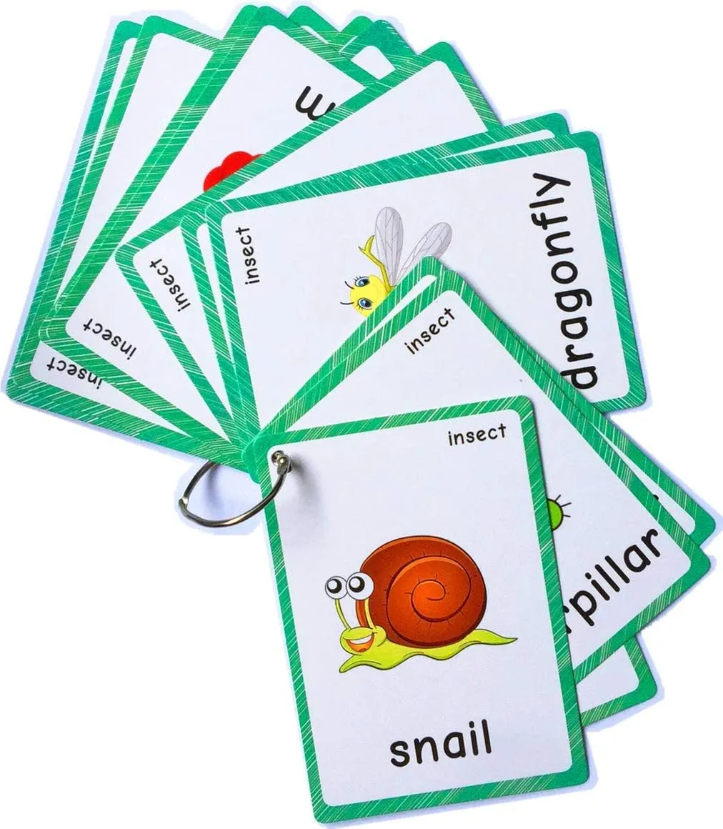 Set of(Body Parts Insects) Flash Cards for Toddlers | Kids Learning Montessori Pocket Cards Toys | Perfect for Pre-K Decorations Background Wall Stickers,Teacher/Autism Therapists Tools