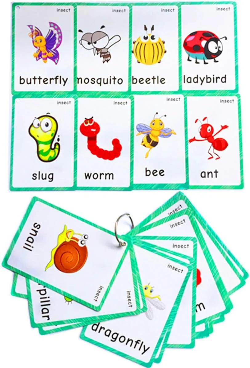 Set of(Body Parts Insects) Flash Cards for Toddlers | Kids Learning Montessori Pocket Cards Toys | Perfect for Pre-K Decorations Background Wall Stickers,Teacher/Autism Therapists Tools