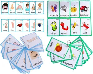 Set of(Body Parts Insects) Flash Cards for Toddlers | Kids Learning Montessori Pocket Cards Toys | Perfect for Pre-K Decorations Background Wall Stickers,Teacher/Autism Therapists Tools