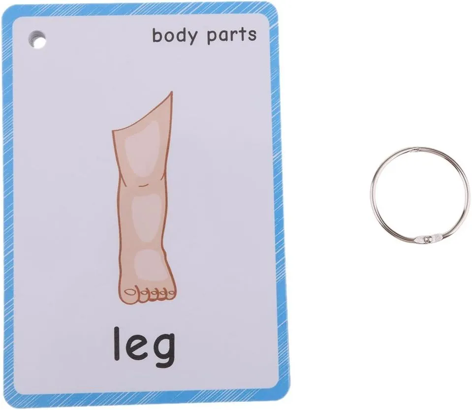 Set of(Body Parts Insects) Flash Cards for Toddlers | Kids Learning Montessori Pocket Cards Toys | Perfect for Pre-K Decorations Background Wall Stickers,Teacher/Autism Therapists Tools