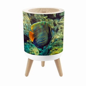 Small Trash Can with Lid Colorful Fish Pomacanthus Imperator inhabits Round Press Top Garbage Can with Legs Trash Bin Waste Basket for Kitchen Bedroom Bathroom 7L/1.8 Gallon