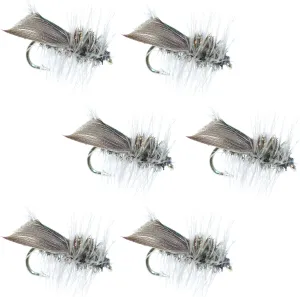 The Fly Fishing Place Hemingway Caddis Classic Trout Dry Fly - Set of 6 Flies Size 18