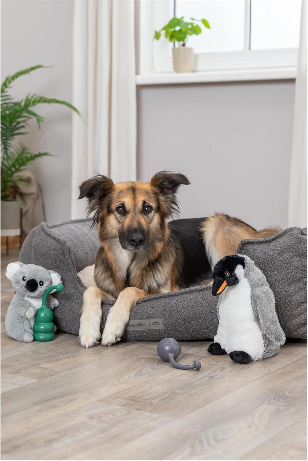 TRIXIE Be Eco Erin The Penguin Plush Dog Toy for All Dogs, 11" Fun and Cuddly No Sound Dog Toy, 98% Recycle Material