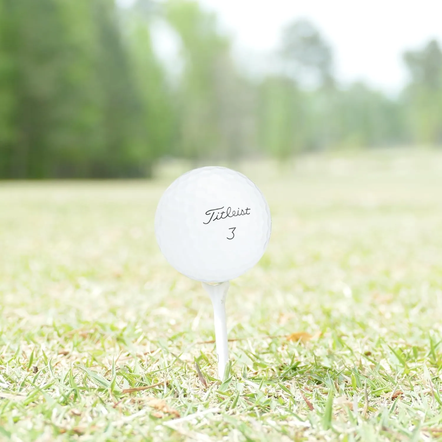 Used and Factory Refinished for Titleist Pro V1 Mint 5A (White) (24 & 48) Golf Balls Mesh Bag Included